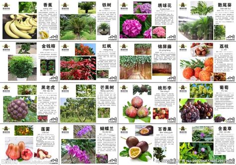 植物种植品类册排版|平面|宣传物料|顾大宝 - 原创作品 - 站酷 (ZCOOL)
