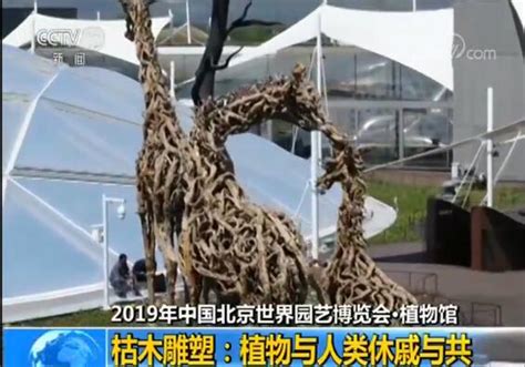 植物馆枯木雕塑完美展示植物与人类休戚与共-华夏晚报