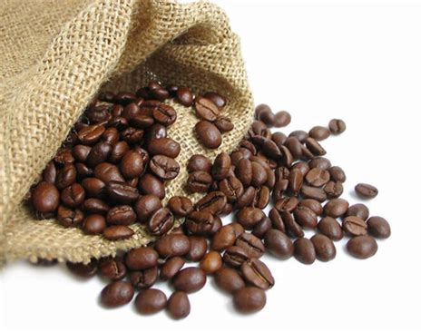 如何选择咖啡豆之浓郁度指标 | EHS咖啡西点培训学院