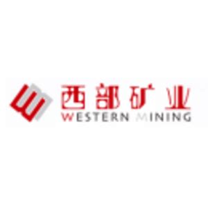 西部矿业集团有限公司第四届科技大会召开_新华网