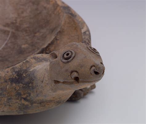 龟形铜水注,文物考古,文化艺术,摄影,汇图网www.huitu.com