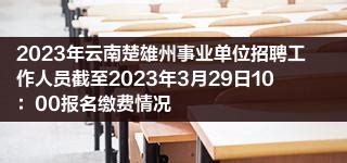 2023年云南楚雄州事业单位招聘工作人员截至2023年3月29日10：00报名缴费情况