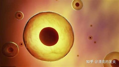 干细胞新药研发动态：2022年已有9款干细胞新药申报项目被CDE受理-杭吉干细胞科技