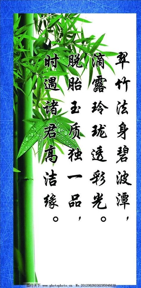 有关竹子的诗词