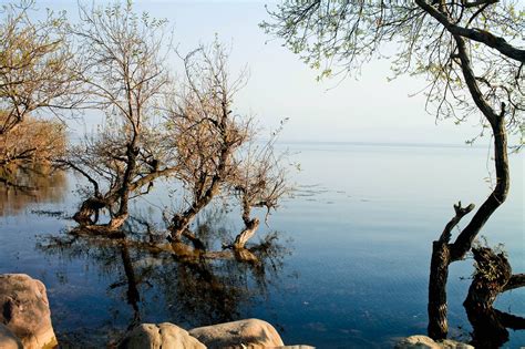 2024邛海，四川省第二大淡水湖，，面积约31平方公里，是四川省十大风景名胜区之一_邛海国家湿地公园-评论-去哪儿攻略