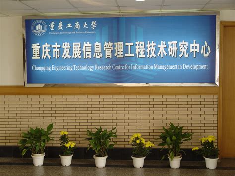 中心概况-重庆市发展信息管理工程技术研究中心
