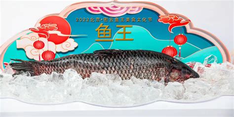 “生态密云 吉庆有鱼”2022北京·密云鱼王美食文化节盛大开幕_手机新浪网