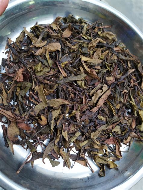 凤凰单枞茶头是什么,凤凰单枞的口感和特点- 茶文化网