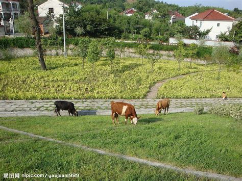 朝阳医院黄牛加号挂号黄牛-朝阳医院黄牛加号挂号黄牛能取消吗 