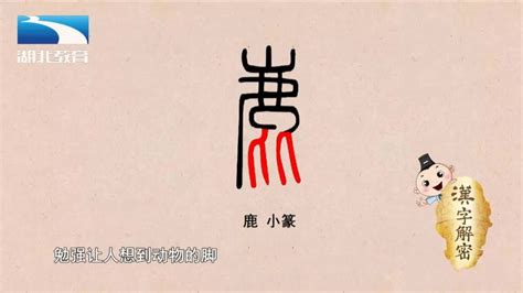 汉字解密|鹿：太形象了！甲骨文的鹿字画出了一只美丽的小鹿_长江云 - 湖北网络广播电视台官方网站
