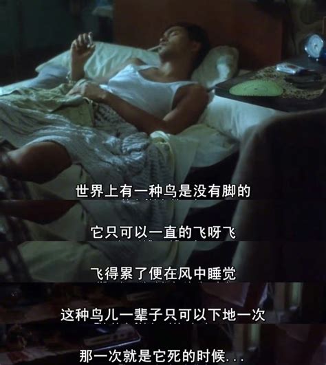 舒淇张国荣的这部三级片，也许是香港史上最好的色情片