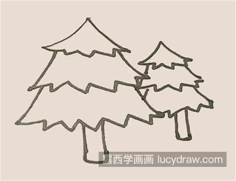 松树怎么画最简单 松树简笔画简单又好看-露西学画画