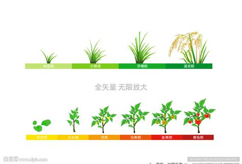 中国农业大学土地科学与技术学院 学院发表文章 刘忠课题组在中国东北-华北粮食主产区作物干旱遥感监测及作物生长的响应方面取得重要进展