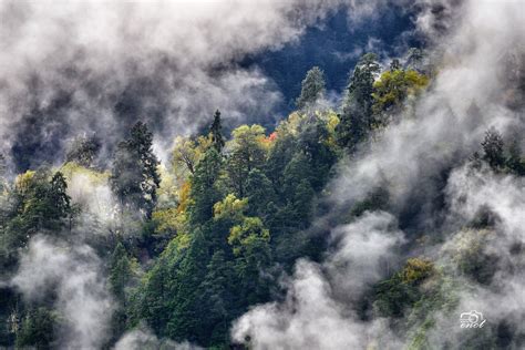 晨雾缭绕的群山与小村庄高清图片下载-正版图片500692636-摄图网
