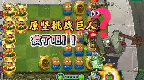 原始坚果墙图片