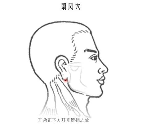 翳风穴位图图片