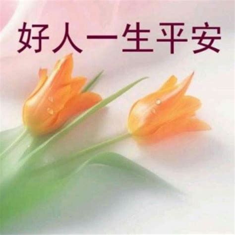 一生平安图片