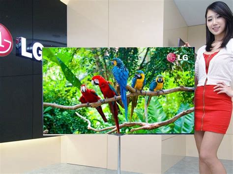 消息称LG召回约6万台OLED电视，以更换电源板-蓝鲸财经
