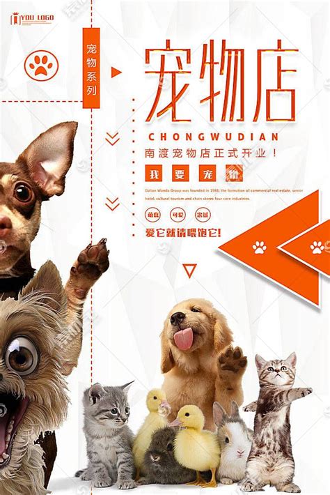 猫咪狗狗宠物店铺促销海报模板下载(图片ID:2320804)_-海报设计-广告设计模板-PSD素材_ 素材宝 scbao.com