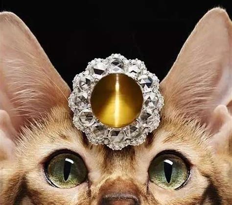 天然矽线猫眼裸石，天然猫眼石，925银饰半宝石，宝半石批发-阿里巴巴