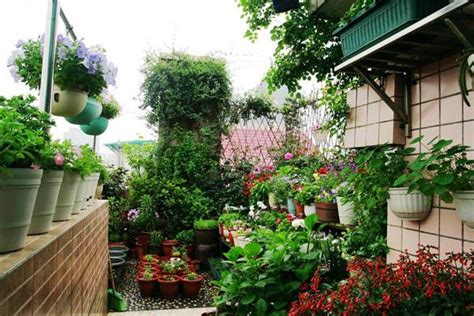 阳台绿化——这样做，让你在家里阳台就能拥有私家花园 - 深圳市绿雅坊景观园艺有限公司