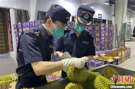 进口品种日益丰富 中国—东盟水果贸易持续火热
