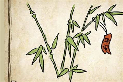 竹子在景观园林中的设计和应用 - 知乎