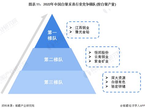 2021年中国白银市场分析报告-行业运营态势与前景评估预测 - 观研报告网