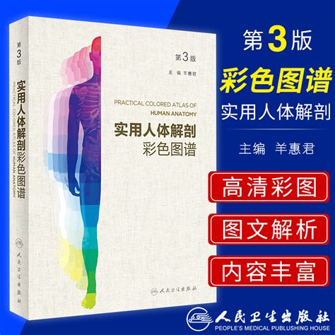 人体解剖彩色图谱图片 人体解剖彩色图谱图片