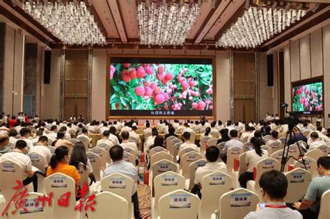 2022年广州从化荔枝节暨市区协同产业发展交流大会顺利举行