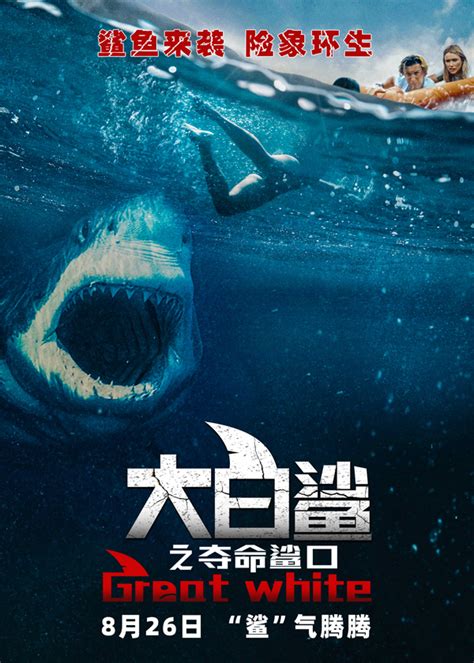 网红提子烹食大白鲨7000元购自水产店 曾问店家购买鲨鱼是否合法_新浪新闻
