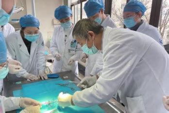 东阳市人民医院2023年招聘公告-温州医科大学仁济学院