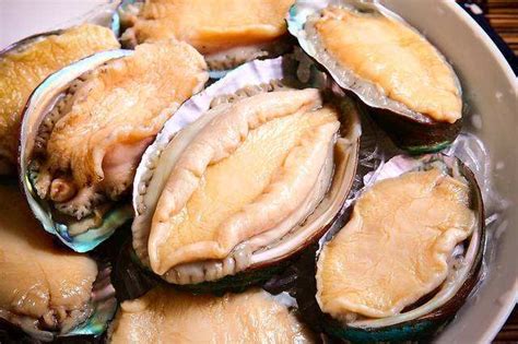 秋天来了，吃海鲜正是时候，此贝类肉多鲜味十足，价格还便宜|贝壳|鲍鱼贝|鲜味_新浪新闻