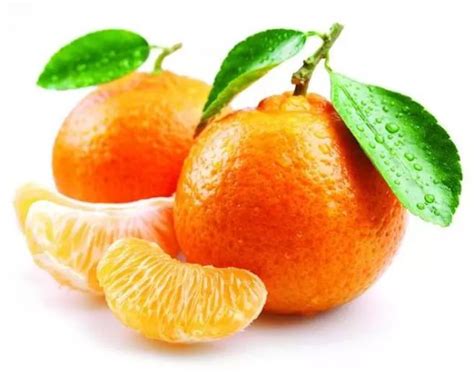 台北大神南橘子
