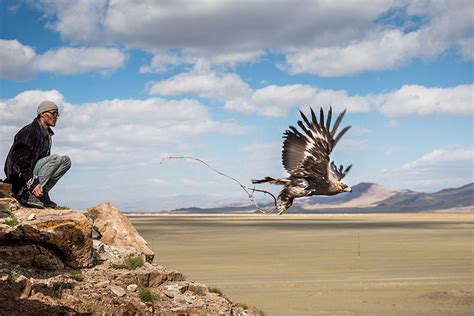飞吧，猛士！ - 阿尔泰山脉中一名用老鹰狩猎的骑手，蒙古 (© Timothy Allen/Getty Images) | 必应每日高清壁纸 ...