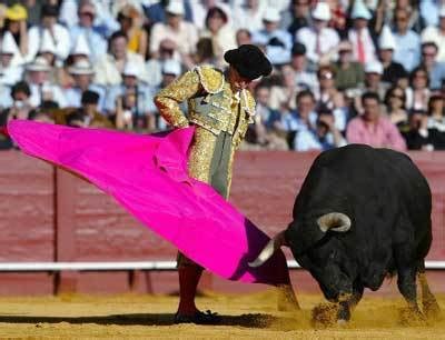 直击西班牙斗牛, 优雅背后是残忍的人性, 每年数以万计的牛被虐杀