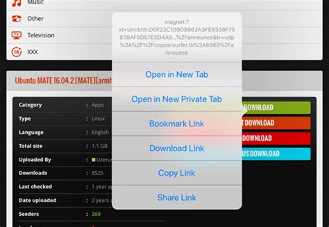 How to download torrents on iPhone | iOS Torrent downloader & how to