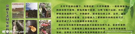 瑞安农产入驻世博威上海展，开启有机绿色产业新篇章