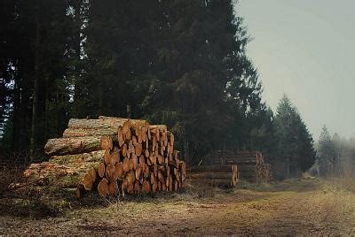 木材加工企业宣传片具体制作费用 - 知乎
