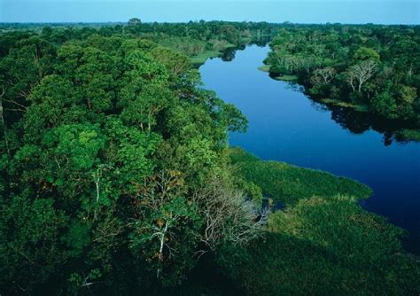 亚马逊森林图册_360百科