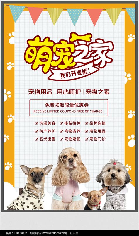 猫咪宠物馆狗狗蓝猫宠物店宣传展架模板下载-编号807444-众图网