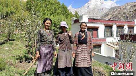 西藏“拉孜三姐妹”：远嫁阿里底雅边陲收获甜蜜-神州快讯网