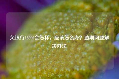 欠信用卡的钱到最后还不了什么结果：后果与解决办法 - 邮箱网