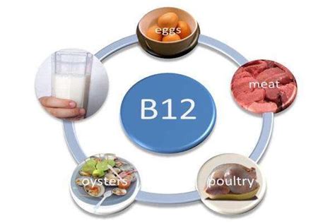 维生素B12针剂的功效与作用-有来医生
