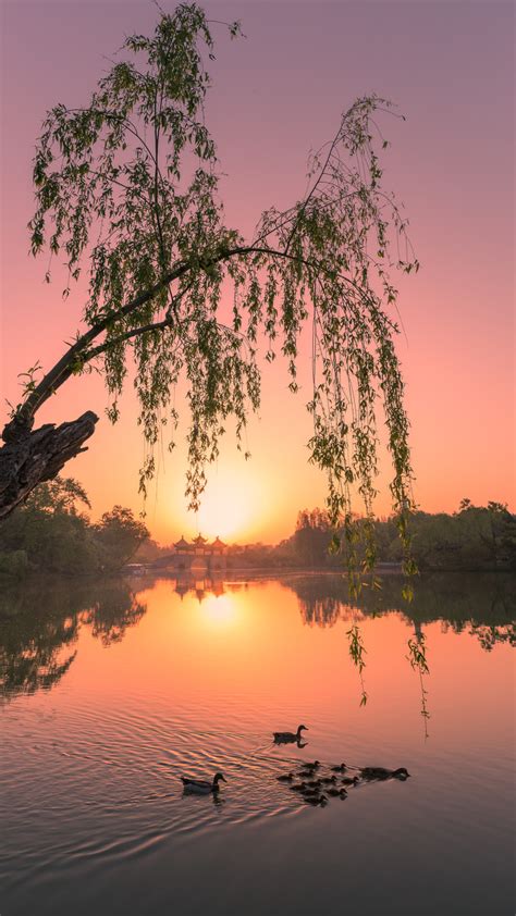 中国古筝十大名曲《高山流水》静心安神，意境悠远_腾讯视频