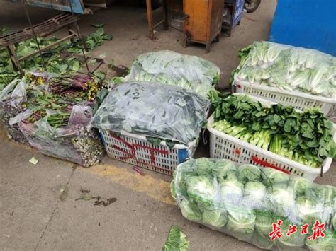 图集｜武汉人的菜篮子如何保障？记者实拍蔬菜供给一线 | 每日经济网