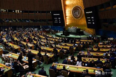 联合国大会紧急特别会议通过乌克兰局势决议草案_新华报业网