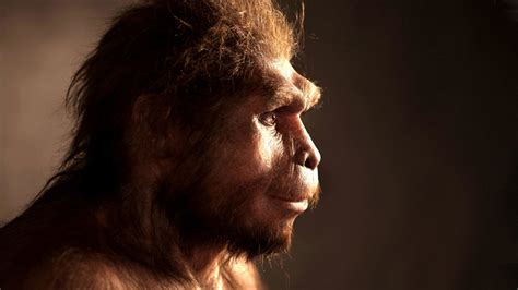 10大百万年前的人类祖先头像被曝光_排行榜