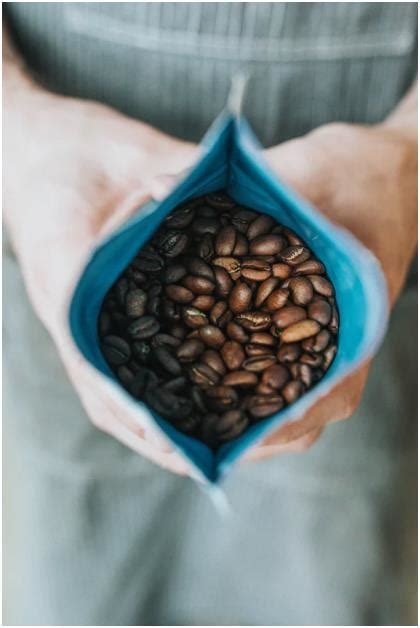 上海政府补贴咖啡师：为咖啡文化注入新动力 - 咖啡门户网站
