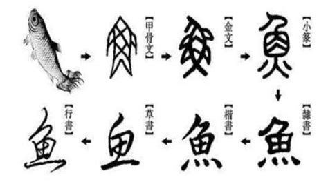 鱼字书法字体艺术字设计图片-千库网